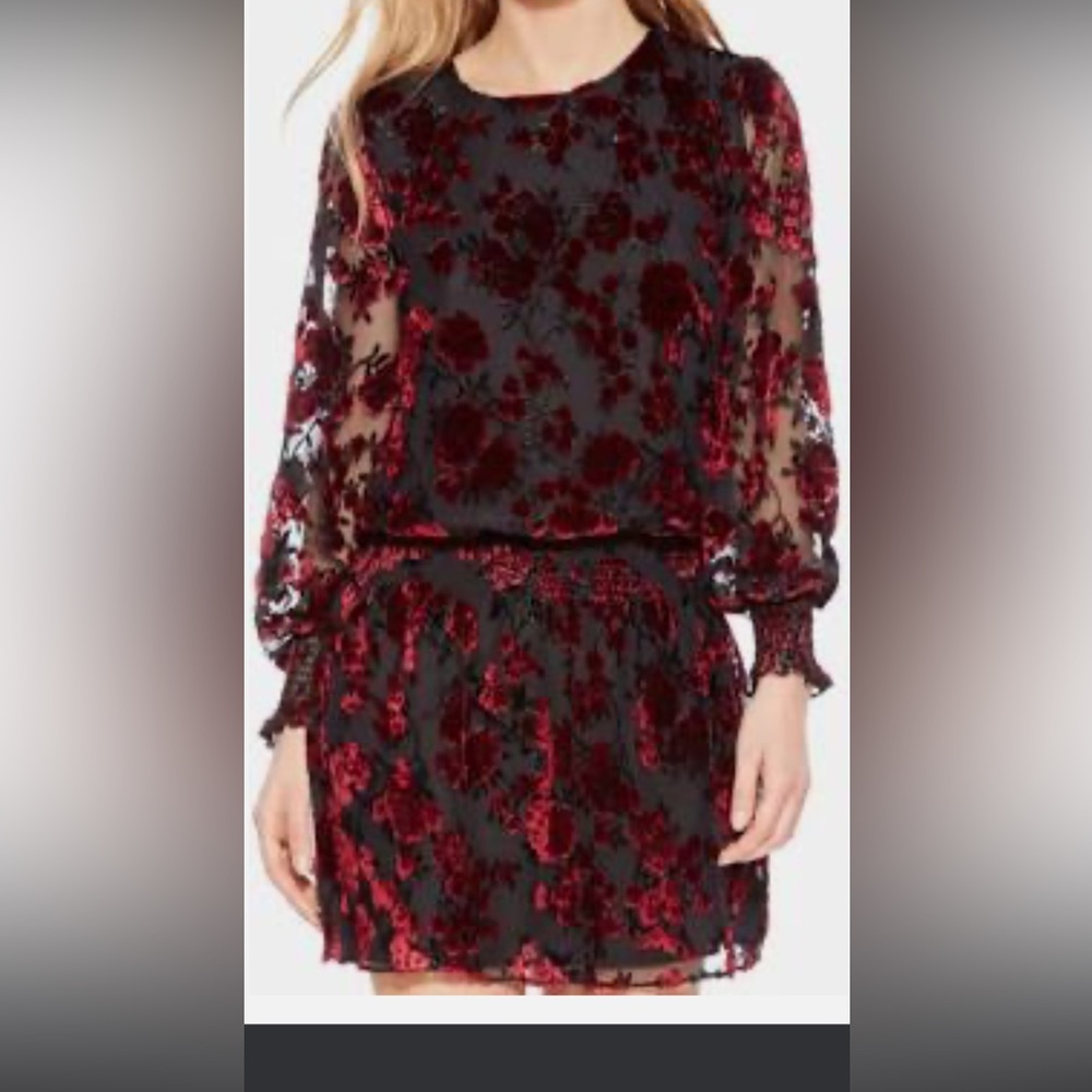 Parker Velvet Burnout Dress